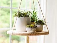 Place Of My Taste Floating Plant Shelf